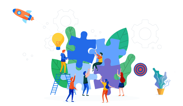 Expert Team